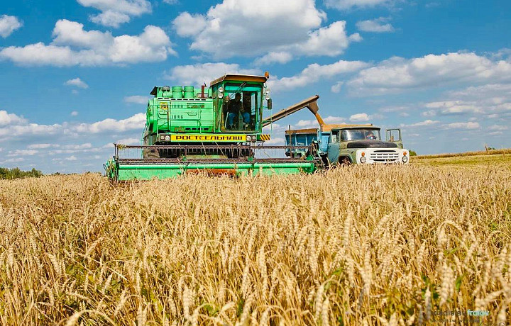 Тульские аграрии намололи полтора миллиона тонн зерна
