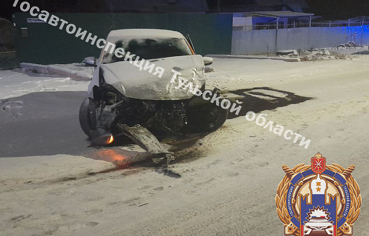 Пять человек, среди которых трое детей, пострадали в ДТП в Щекинском районе