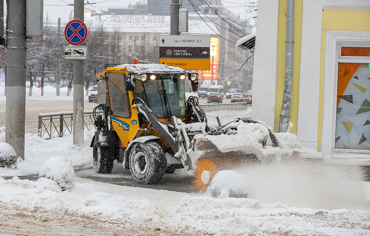 «Сугробы не растают»: до 10 сантиметров снега выпадет к выходным в Тульской области