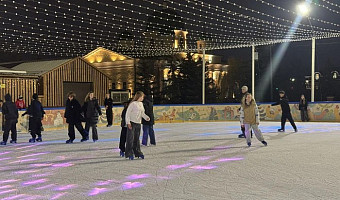 Тулякам представили программу новогодних мероприятий на Губернском катке и главной ёлке