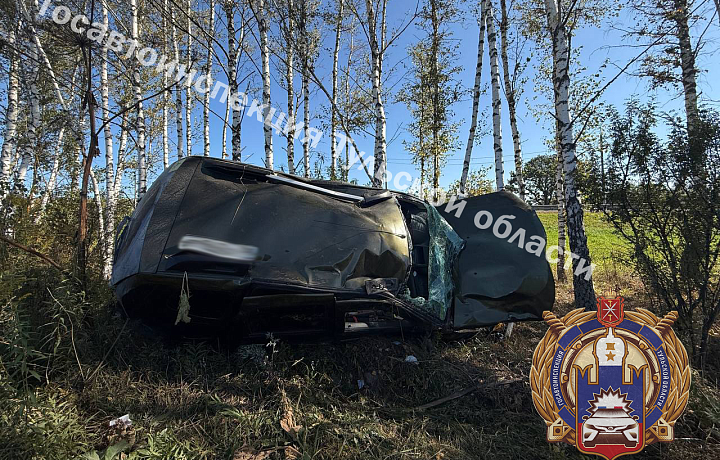 В Заокском районе автоледи без прав на Renault врезалась в дерево