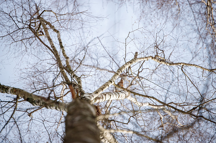 Дети на катке, бабушки – на качелях: в Тульскую область пришла календарная весна