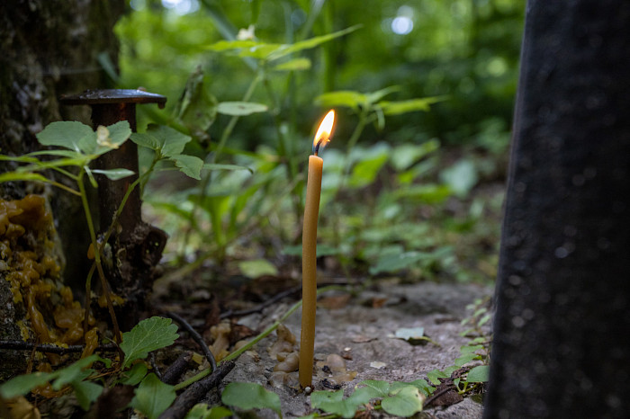Фоторепортаж из Тесницого леса: как выглядит расстрельный полигон под Тулой