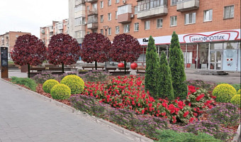 Более 10 тысяч растений высадят на улице Советской в Туле до конца октября