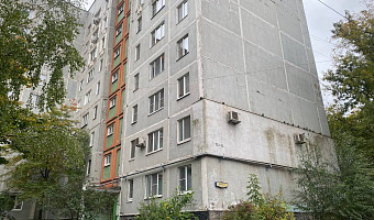 «Трупы животных никто так и не вывез, все они там до сих пор»: запертые в квартире на улице Галкина собаки перестали подавать признаки жизни