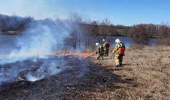 Пожарные с начала апреля совершили более 150 выездов на тушение травы и мусора в Тульской области