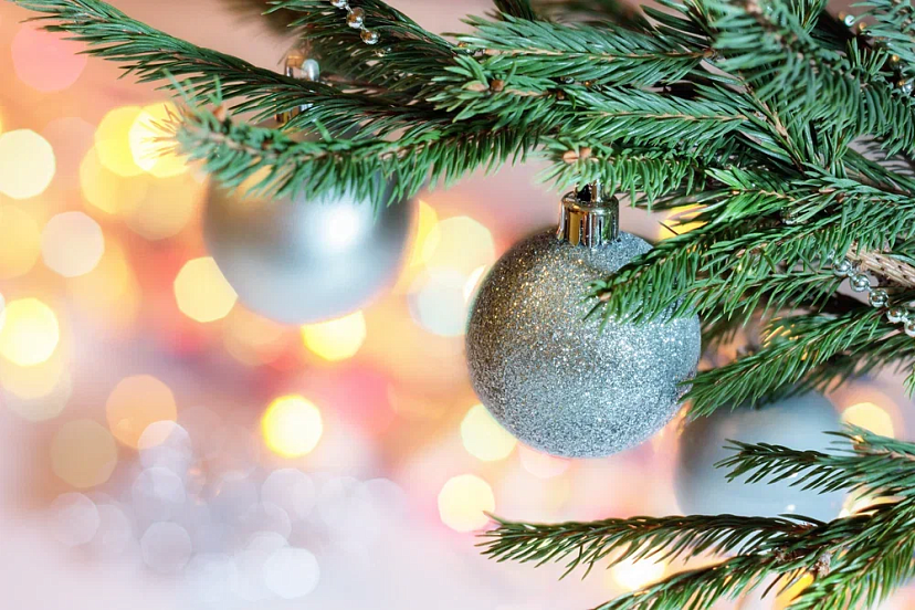 Юрист напомнил россиянам о нюансах режима тишины в Новый год | ТСН24