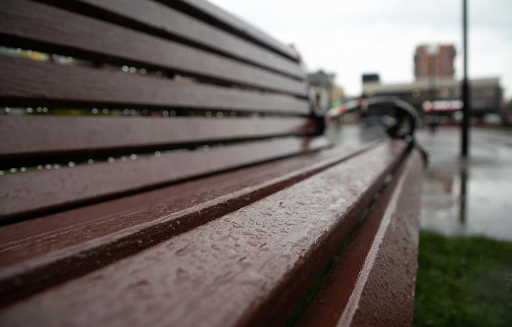 В Тульской области объявлен «желтый» уровень погодной опасности из-за гроз, ветра и возможных пожаров