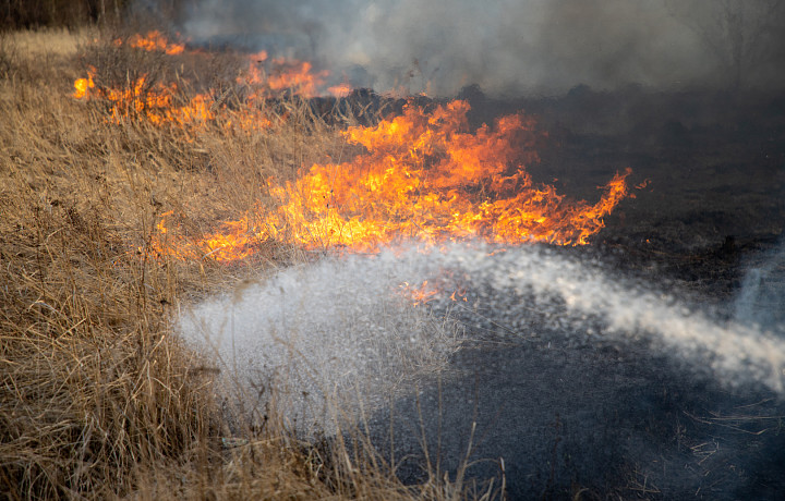 За неделю спасатели совершили 352 выезда в Тульской области