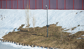 Весна близко: в Тульской области прогнозируют потепление уже в феврале