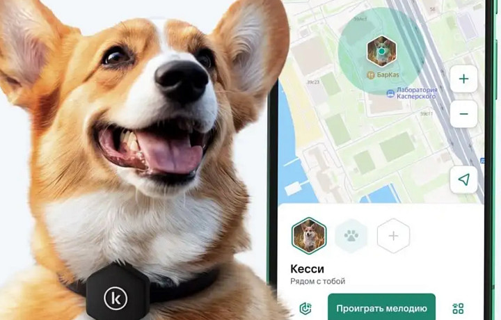 В России запустили систему для поиска домашних животных