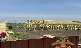 Силовики задержали нелегальных мигрантов в ходе рейда на ферме под Тулой