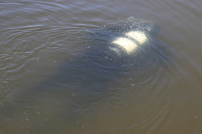 Водолазы обследовали дно центрального пруда в парке имени Белоусова в Туле