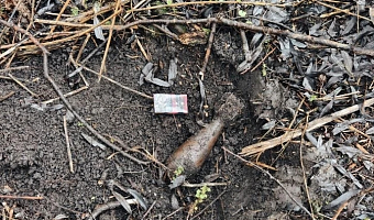 Мину времен Великой Отечественной войны нашли в Тульской области