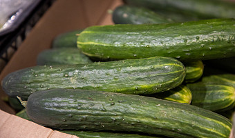 За два месяца средняя цена на огурцы в Тульской области выросла на 150 рублей