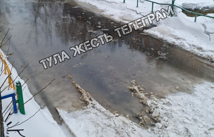 Туляки жалуются на коммунальщиков, заливших нечистотами двор на улице Сойфера