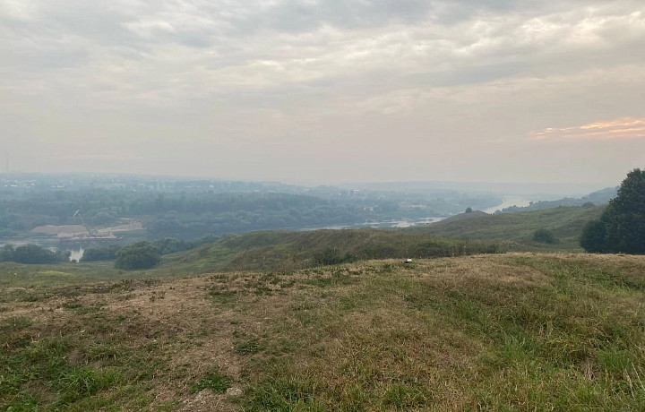 Смог от лесных пожаров в Рязанской области дошел до Алексина