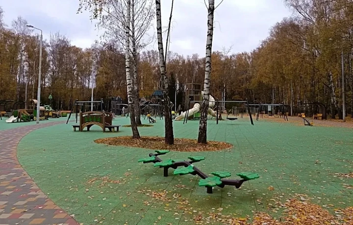 Детский городок в Белоусовском парке в Туле закроют до 21 октября