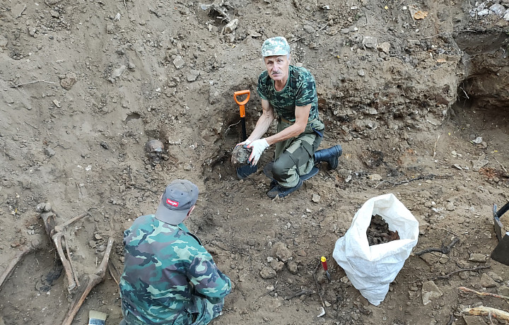 Под Алексином поисковики обнаружили останки 21 бойца Красной Армии