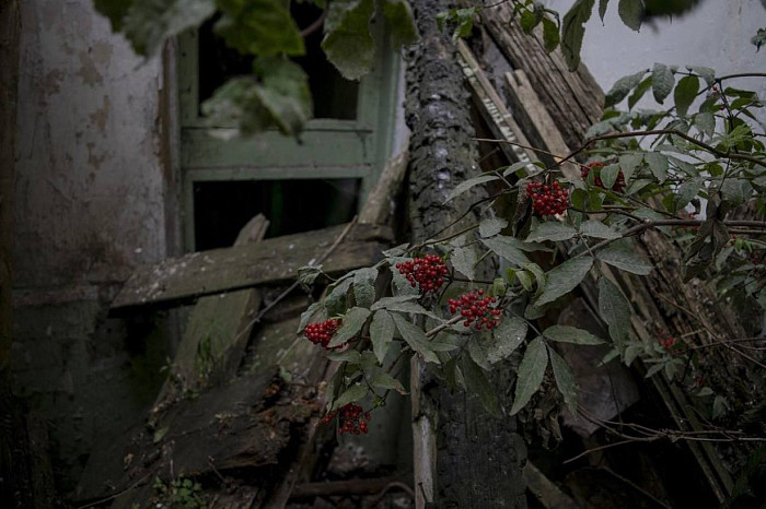 От белоснежного дворца до руин: историческая заброшка - усадьба Мальцева в селе Воскресенское