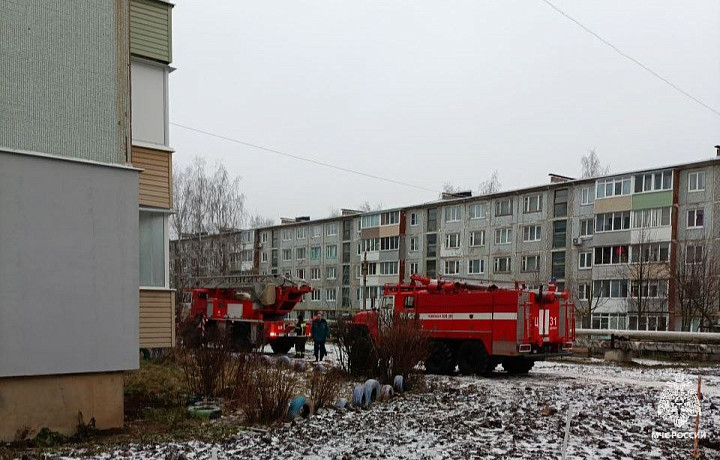 Щекинские спасатели эвакуировали из пожара 15 взрослых и двоих детей