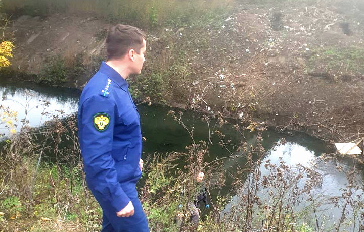 Прокуратура организовала проверку по факту загрязнения реки Воронки в Туле