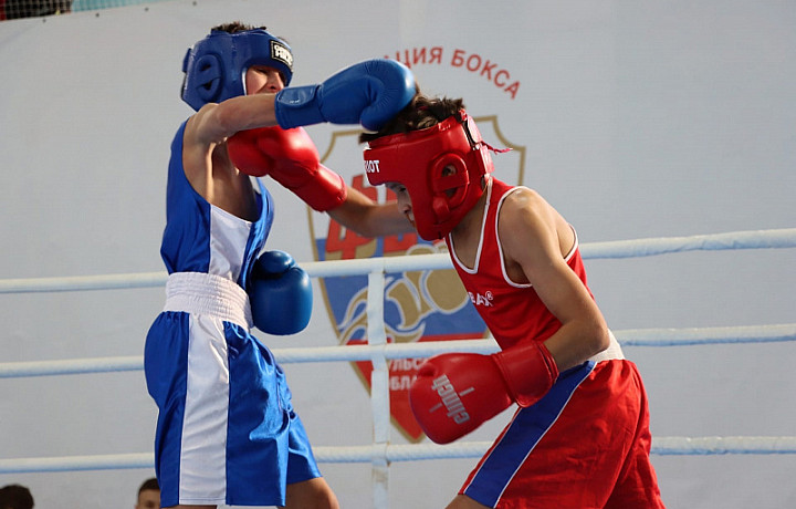 В Туле стартовали межрегиональные соревнования по боксу класса «Б», посвященные памяти Романа Жабарова