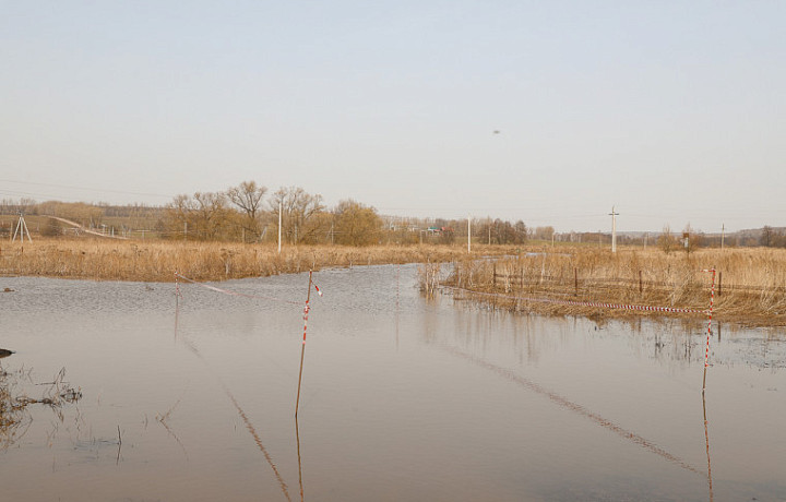 Паводок в Туле отступает: мост в Нижних Присадах открыт для проезда
