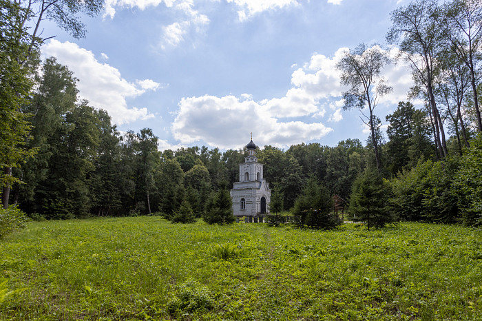 Фоторепортаж из Тесницого леса: как выглядит расстрельный полигон под Тулой