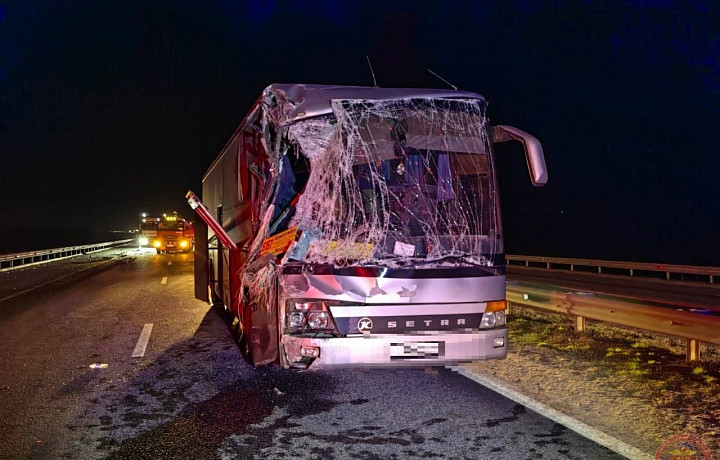 Всех пострадавших в ночном ДТП с автобусами в Ефремове госпитализировали в больницу