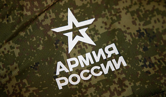 Госдума разрешила использовать армию для защиты россиян за границей