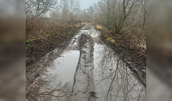 Дорогу у посёлка Побединский под Киреевском не ремонтируют, несмотря на решение суда