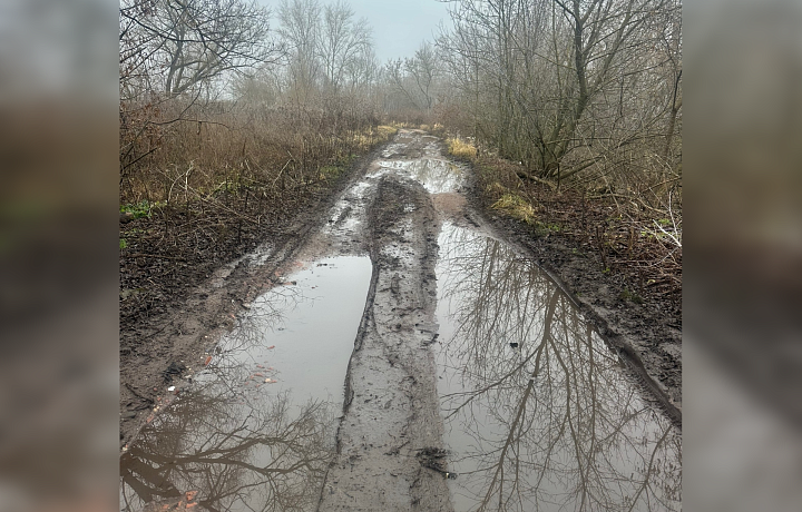 Дорогу у посёлка Побединский под Киреевском не ремонтируют, несмотря на решение суда