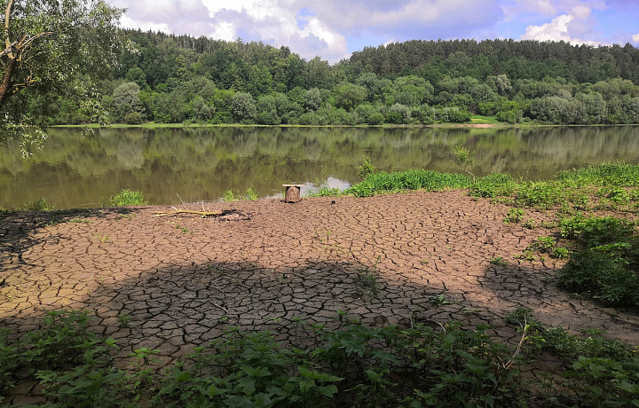 Качество воды в Оке улучшилось в Белеве и ухудшилось в Алексине