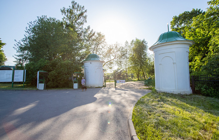 «Ясная Поляна» приглашает гостей на «Яблочную историю» 16 августа
