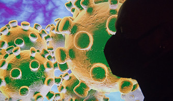 В России 114 человек заболели новым штаммом коронавируса «стратус»