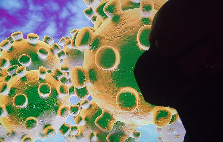 В России 114 человек заболели новым штаммом коронавируса «стратус»