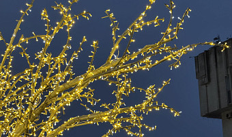 Авито: россияне потратят на новогодних распродажах в среднем 15 000 рублей