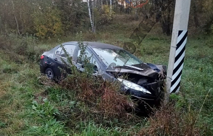 Иномарка слетела в кювет и врезалась в столб на трассе в Ясногорском районе: водитель погиб