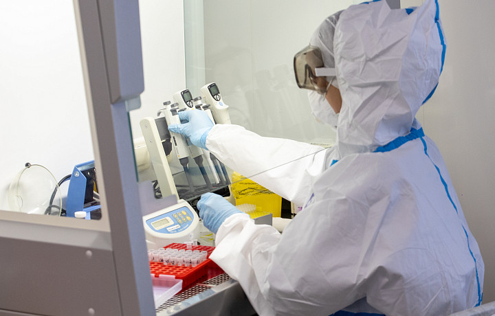 Оспа обезьян в России: симптомы, способы передачи, лечение