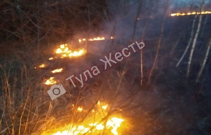 В Тульской области произошел очередной пожар на поле