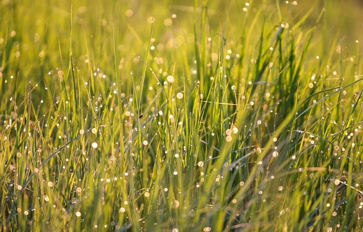 Сентябрьские ливни закончатся: синоптик назвал дату окончания дождей в Тульской области
