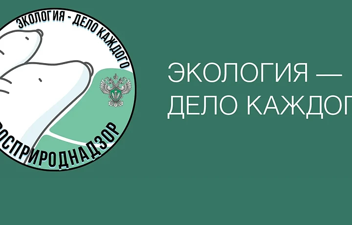 Жителей Тульской области приглашают принять участие в международном конкурсе «Экология — дело каждого»