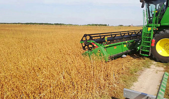 В Щекинском районе собрали 94,4% урожая зерновых и зернобобовых культур