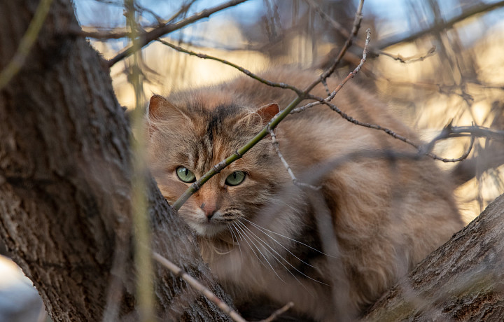 24 марта: какой праздник отмечают сегодня, этот день в истории России и Тулы