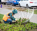 150 тысяч тюльпанов расцветут на улицах Тулы к маю 2023 года