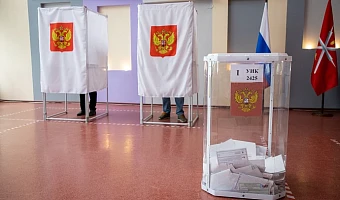 Явка в Туле и Новомосковске на выборах превысила 65%
