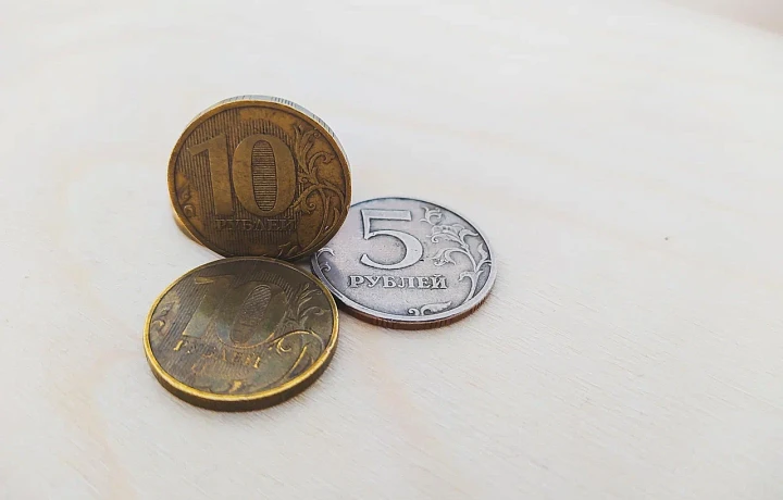Почти 12% многодетных семей в Тульской области являются малоимущими