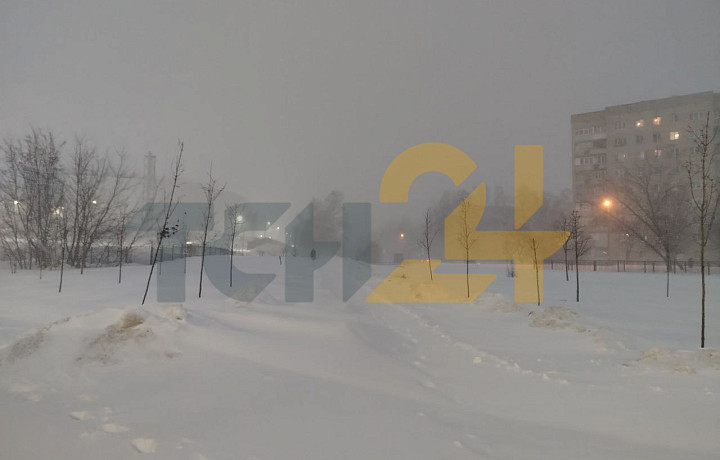 Тулу накрыл мощный снегопад