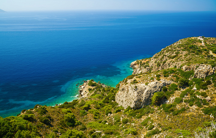 Тулякам рассказали, в каких странах акулы чаще всего нападают на людей
